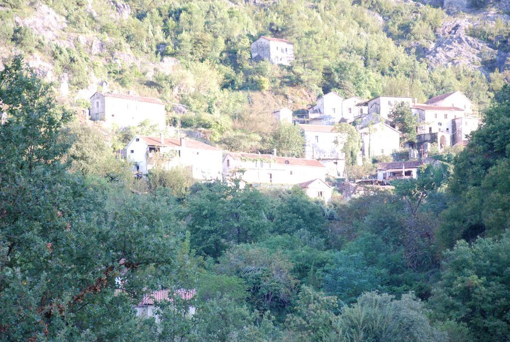 Guesthouse Skadar Lake - Raicevic Virpazar Zewnętrze zdjęcie